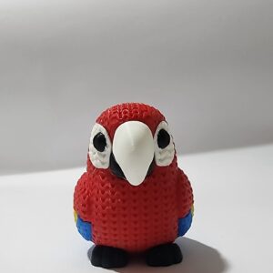 Macaw Colourful Bird