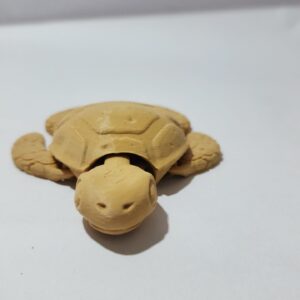 Tortoise
